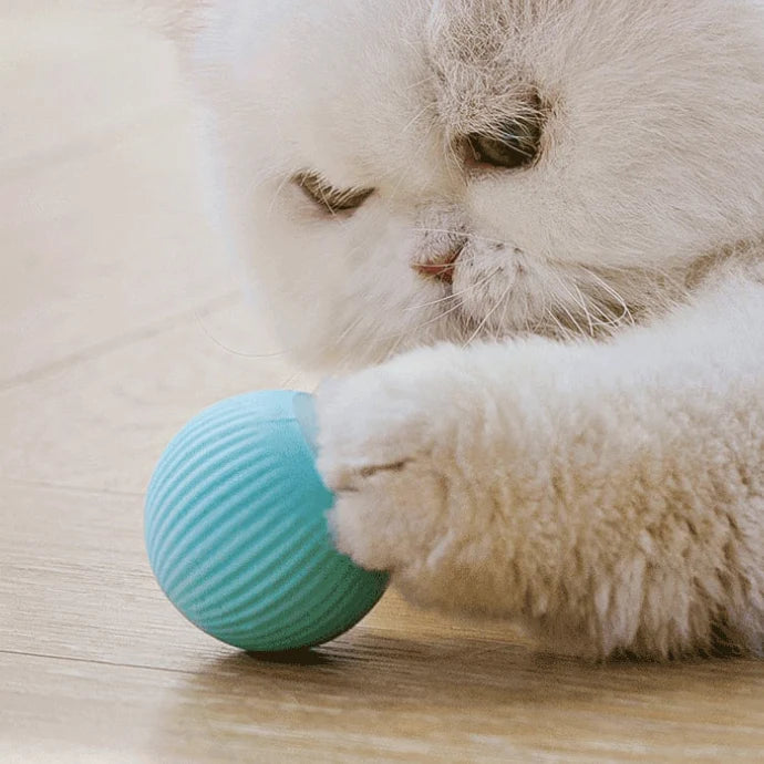 Pelota Smart para Mascotas